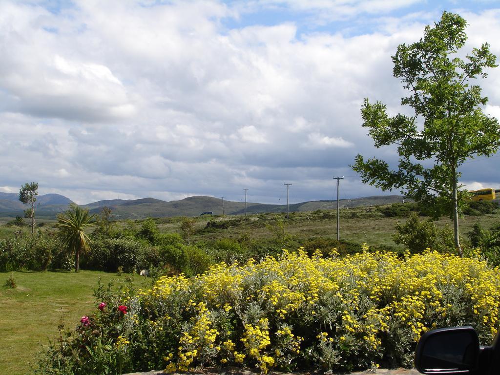 Ben Breen House B&B Clifden Eksteriør billede