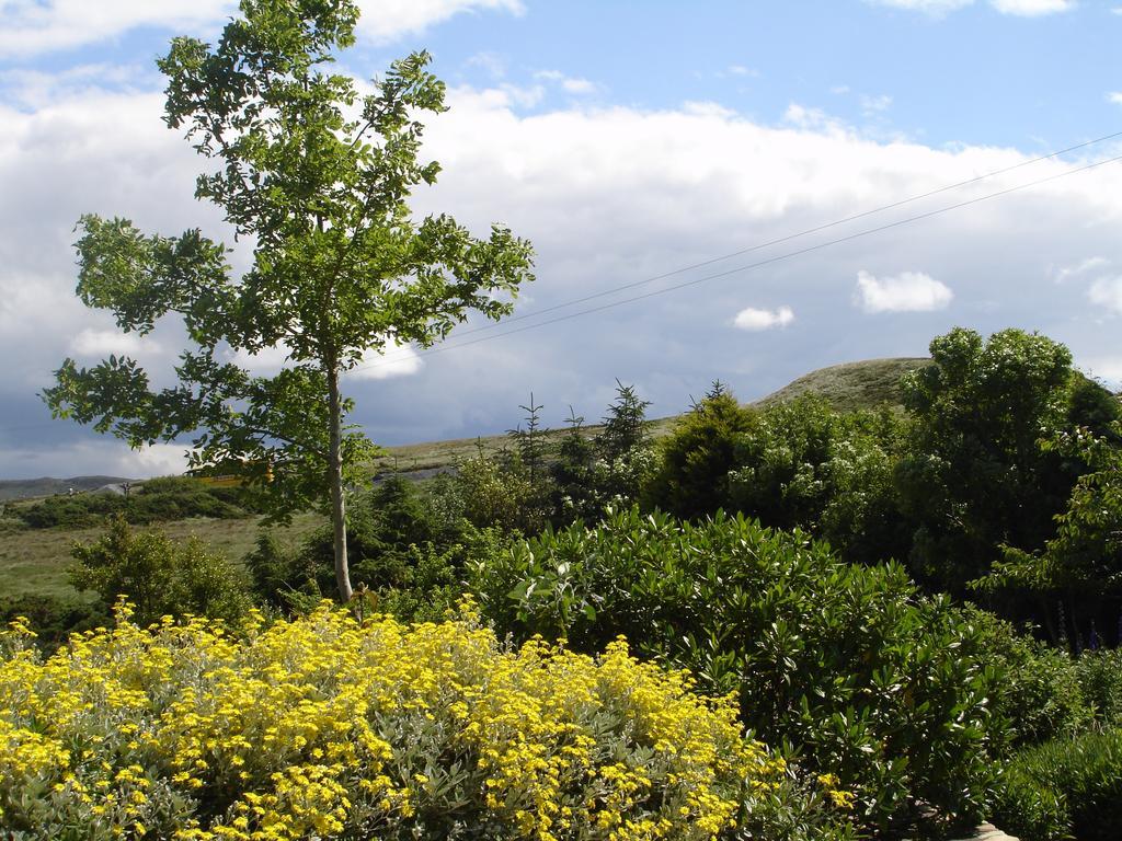 Ben Breen House B&B Clifden Eksteriør billede